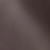 500234 - EBONY